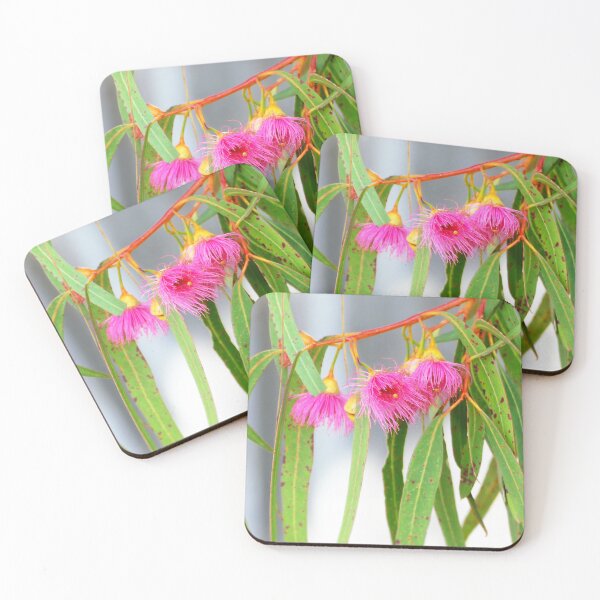 Item preview, Australian Native Flowering Gum With Pink Blossoms designed and sold by jaynerushton.