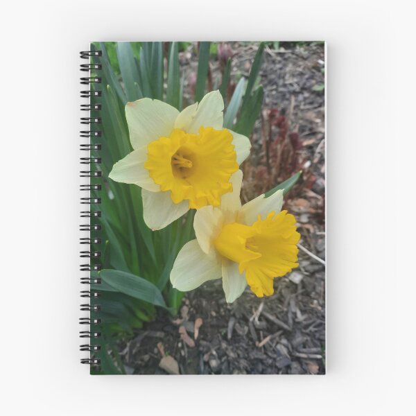 Item preview, Yellow Flowers designed and sold by PhotosByJG.