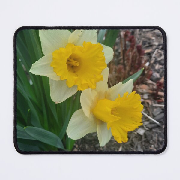 Item preview, Yellow Flowers designed and sold by PhotosByJG.