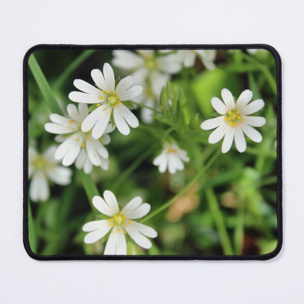 Item preview, spring flower designed and sold by KathleenDawson.
