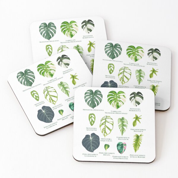Item preview, Tropical Leaf Collection – Monstera & Philodendron Watercolor Botanical Chart designed and sold by Miho9999.