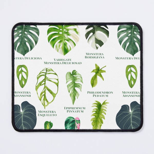 Item preview, Tropical Leaf Collection – Monstera & Philodendron Watercolor Botanical Chart designed and sold by Miho9999.