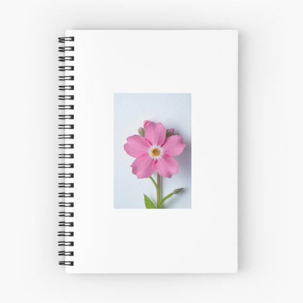 Aperçu de l'œuvre fleur102 créée et vendue par RAY0T.