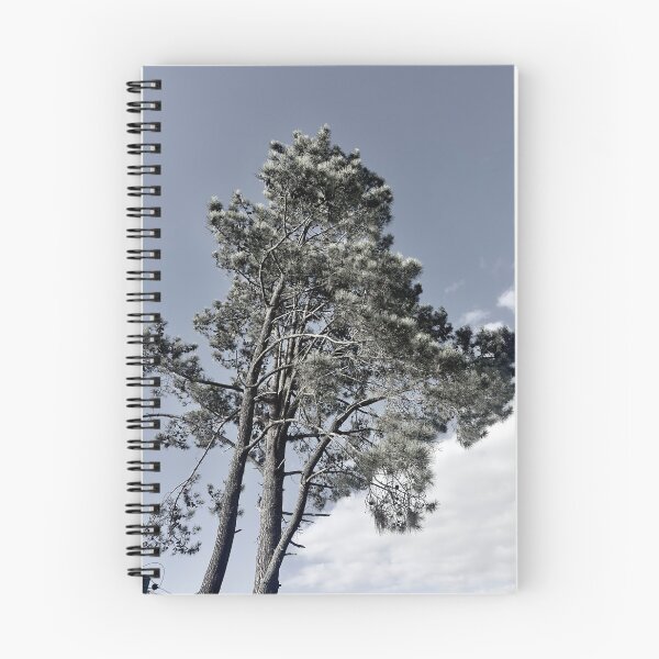 Item preview, Pine trees in the wind designed and sold by stilleraad.