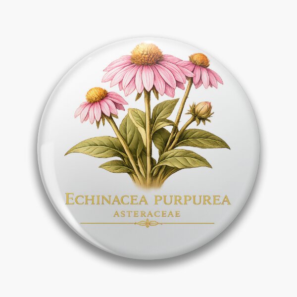 Item preview, Echinacea Flower Botanical Illustration | Purple Coneflower Nature Design designed and sold by GGAUL.
