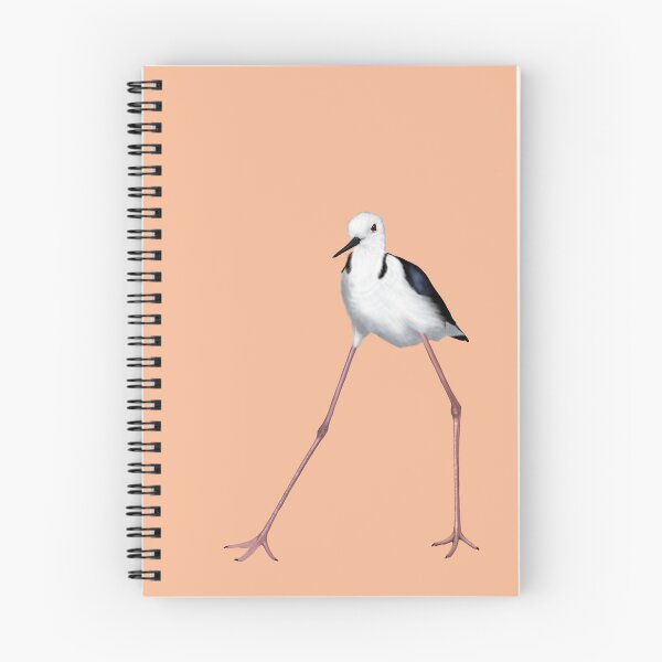 Item preview, Pied stilt at Lake Indoon 2 designed and sold by Windswell.