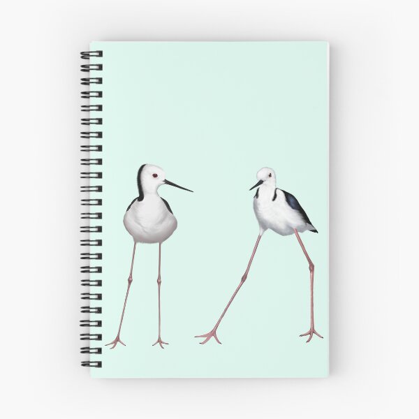 Item preview, Two pied stilts at Lake Indoon designed and sold by Windswell.