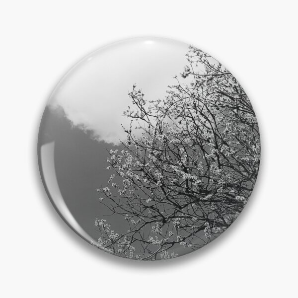 Item preview, Blooming willow tree, black and white photo designed and sold by Dniprianka.