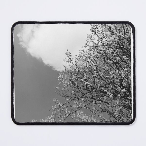 Item preview, Blooming willow tree, black and white photo designed and sold by Dniprianka.