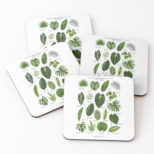 Item preview, Tropical Leaves Botanical Collection Vintage Nature Illustration designed and sold by Les-Ink-Studio.