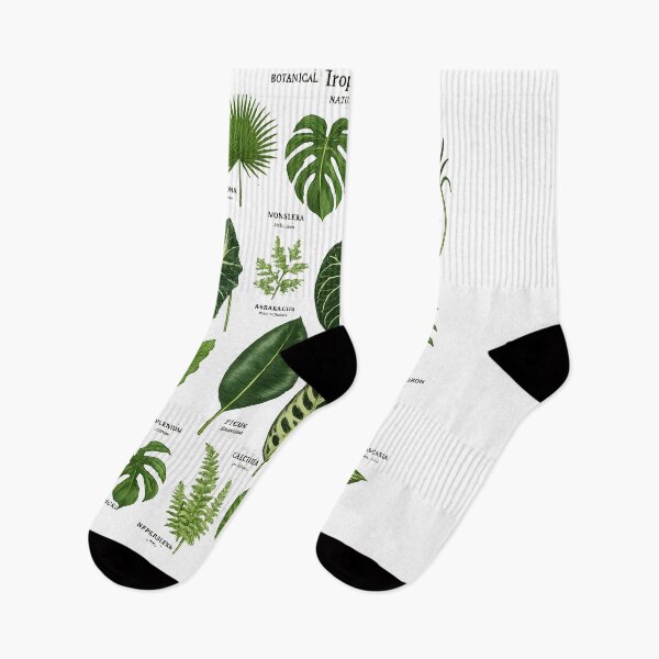 Item preview, Tropical Leaves Botanical Collection Vintage Nature Illustration designed and sold by Les-Ink-Studio.