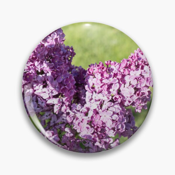 Item preview, Vibrant Lilac Blooms at the Edge of a Sunny Garden designed and sold by Georgia Mizuleva.