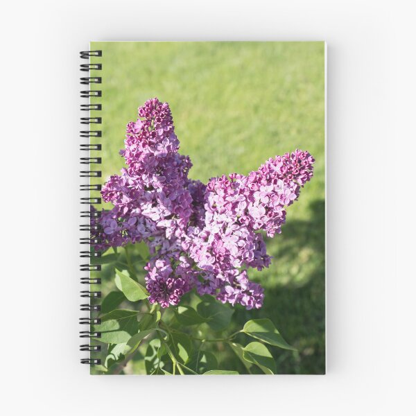 Item preview, Vibrant Lilac Blooms at the Edge of a Sunny Garden designed and sold by Georgia Mizuleva.