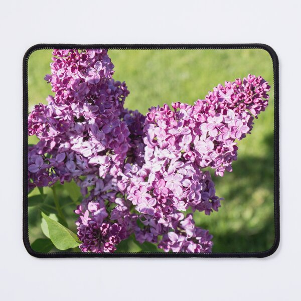 Item preview, Vibrant Lilac Blooms at the Edge of a Sunny Garden designed and sold by Georgia Mizuleva.