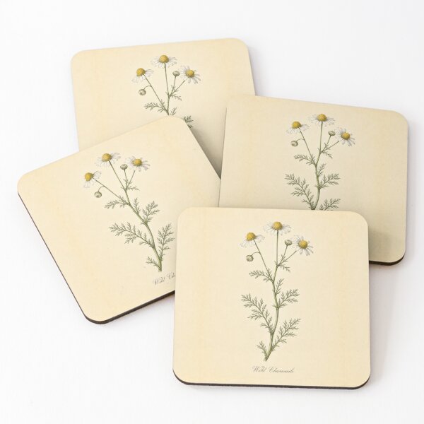 Item preview, Vintage Wild Chamomile Botanical Illustrationbotany designed and sold by NuvoraNest.