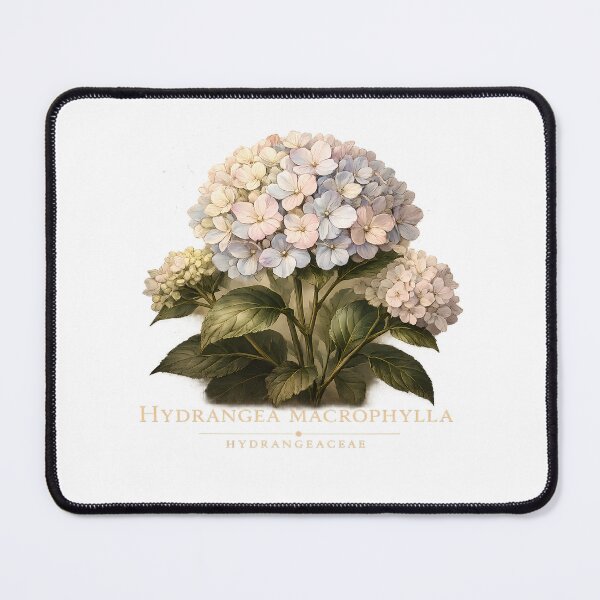 Item preview, Hydrangea Flower Botanical Illustration | Elegant Floral Garden Design designed and sold by GGAUL.