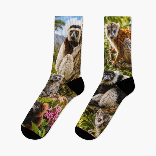 Item preview, IT'S A CONSPIRACY OF LEMURS designed and sold by NomadicNatureCo.
