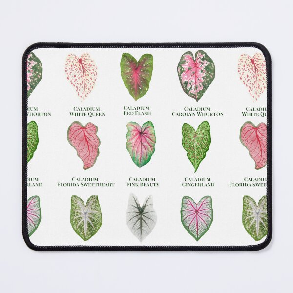 Item preview, Caladium Parade designed and sold by Miho9999.