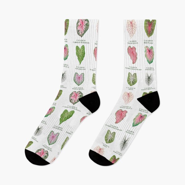 Item preview, Caladium Parade designed and sold by Miho9999.