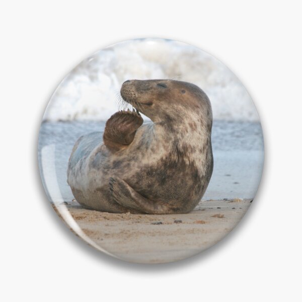 Item preview, Horsey Norfolk Seal: Talk to the Flipper designed and sold by MyriadNorfolk.