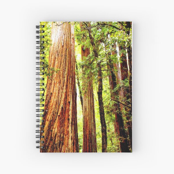 Item preview, Majestic Redwoods designed and sold by NatureInspired.