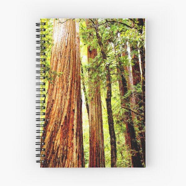 Item preview, Majestic Redwoods designed and sold by NatureInspired.
