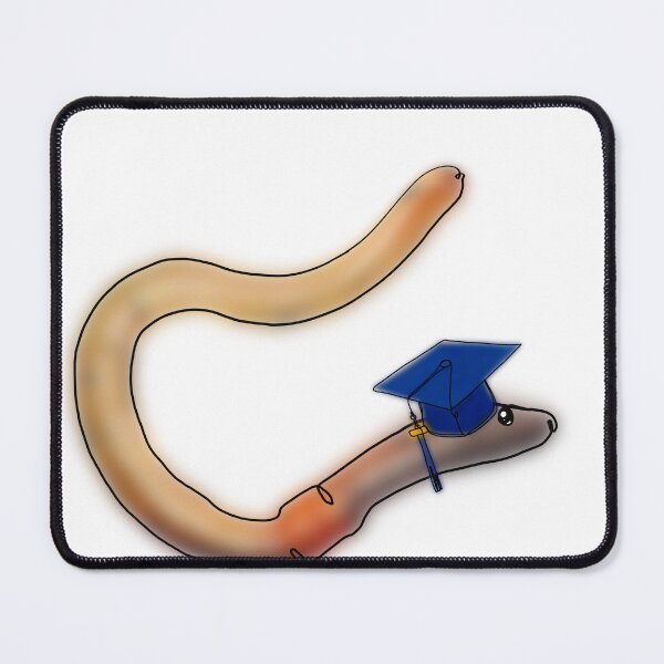 Item preview, Worm in a graduation Hat – animalzinhats designed and sold by Ashley’sAnimalz.