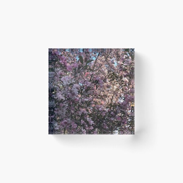 Item preview, Under the Crabapple Blossoms designed and sold by Phoebew03.