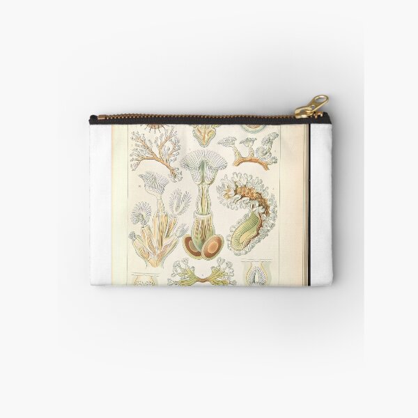 Item preview, Moss Animals Sea Creatures | Insect Art designed and sold by GammaRay.