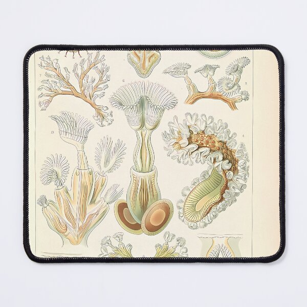 Item preview, Moss Animals Sea Creatures | Insect Art designed and sold by GammaRay.