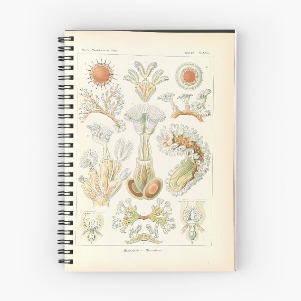 Item preview, Moss Animals Sea Creatures | Insect Art designed and sold by GammaRay.
