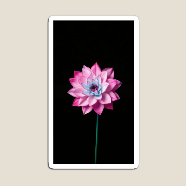 Item preview, Pink Bloom on Black Background designed and sold by ScreenPin.