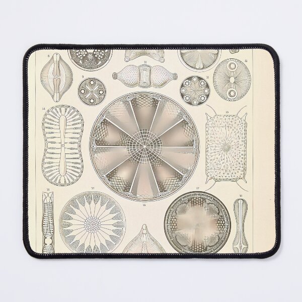 Item preview, Diatom Microscopy Art | Insect Art designed and sold by GammaRay.