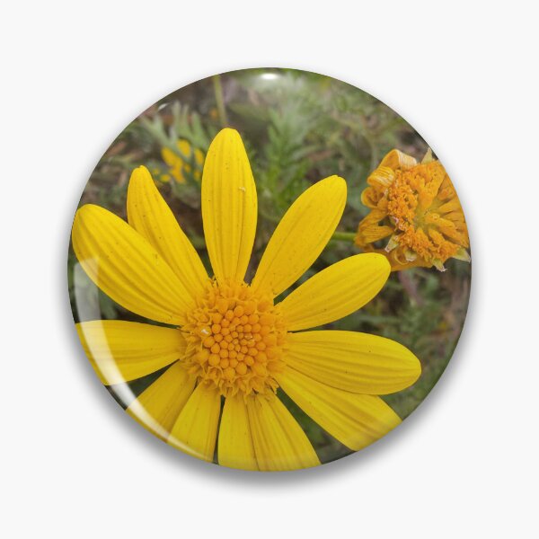 Item preview, Yellow Cheer designed and sold by Betsy Phillips.