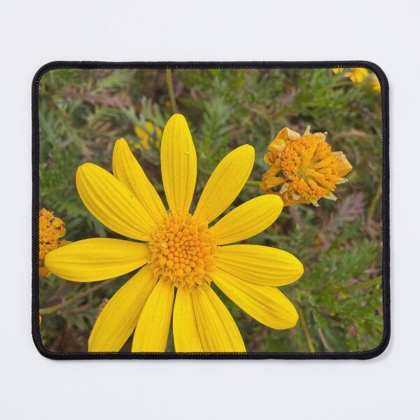 Item preview, Yellow Cheer designed and sold by Betsy Phillips.