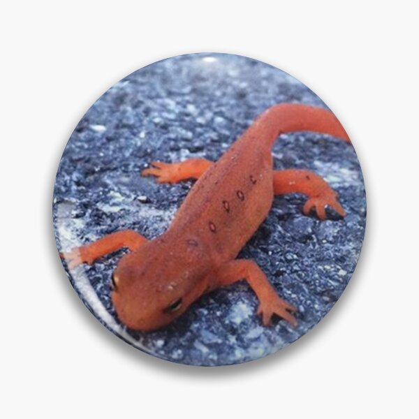 Item preview, Salamander designed and sold by Alexander Krishchyunas.