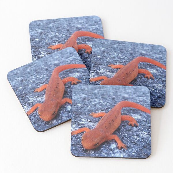 Item preview, Salamander designed and sold by Alexander Krishchyunas.