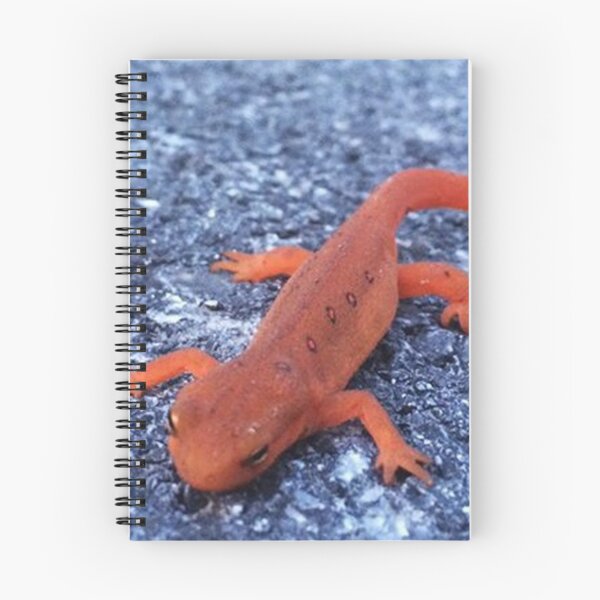 Item preview, Salamander designed and sold by Alexander Krishchyunas.