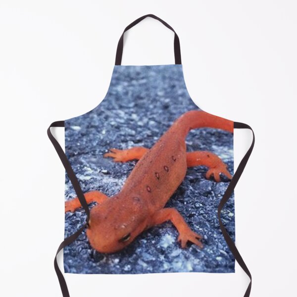 Item preview, Salamander designed and sold by Alexander Krishchyunas.