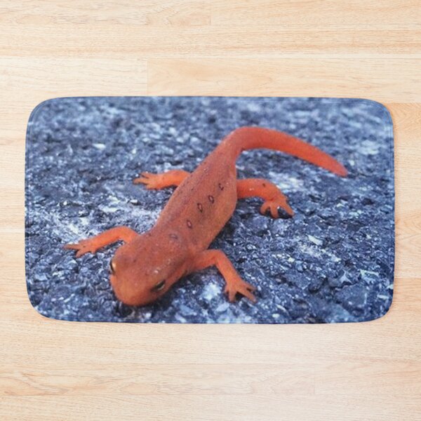 Item preview, Salamander designed and sold by Alexander Krishchyunas.