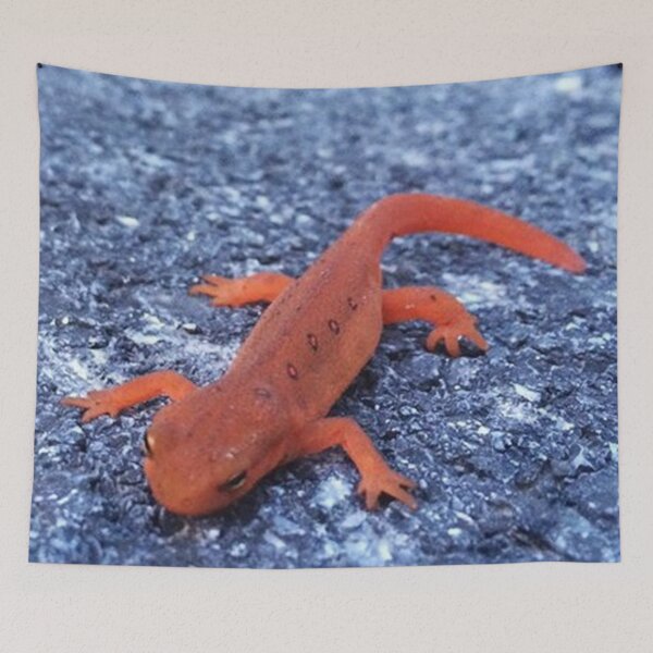 Item preview, Salamander designed and sold by Alexander Krishchyunas.