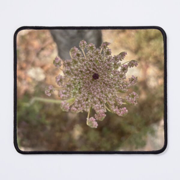 Item preview, Fractals designed and sold by 55synonyms.