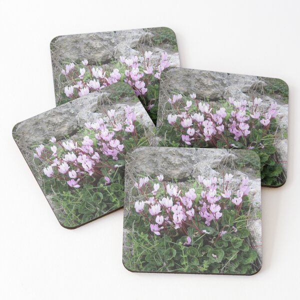 Item preview, Wild Cyclamen designed and sold by Alexander Krishchyunas.