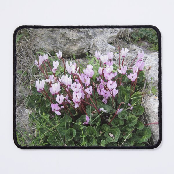 Item preview, Wild Cyclamen designed and sold by Alexander Krishchyunas.