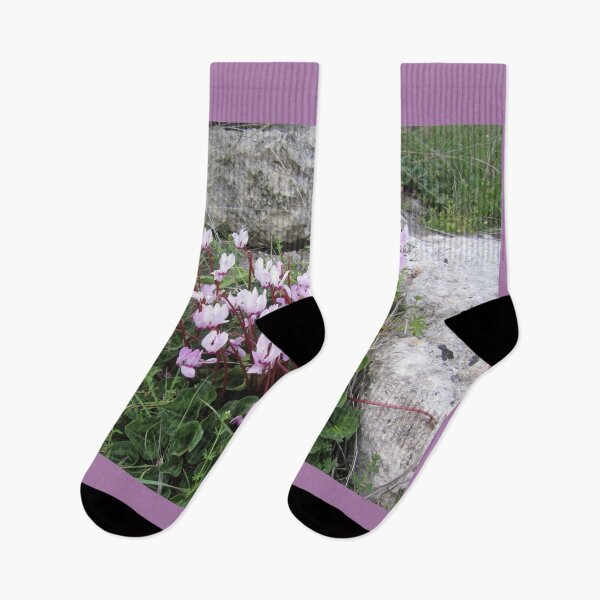 Item preview, Wild Cyclamen designed and sold by Alexander Krishchyunas.
