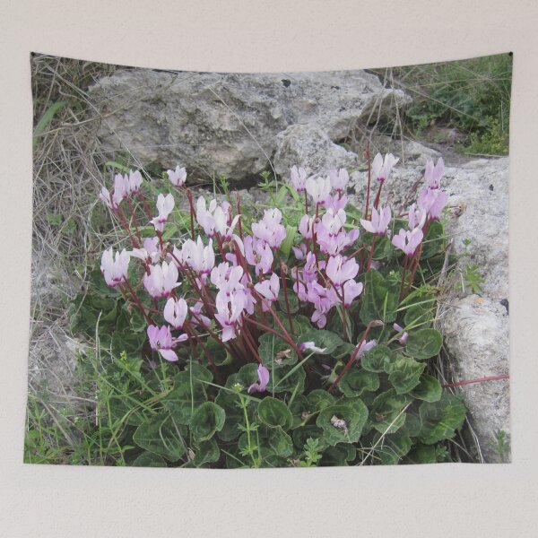 Item preview, Wild Cyclamen designed and sold by Alexander Krishchyunas.