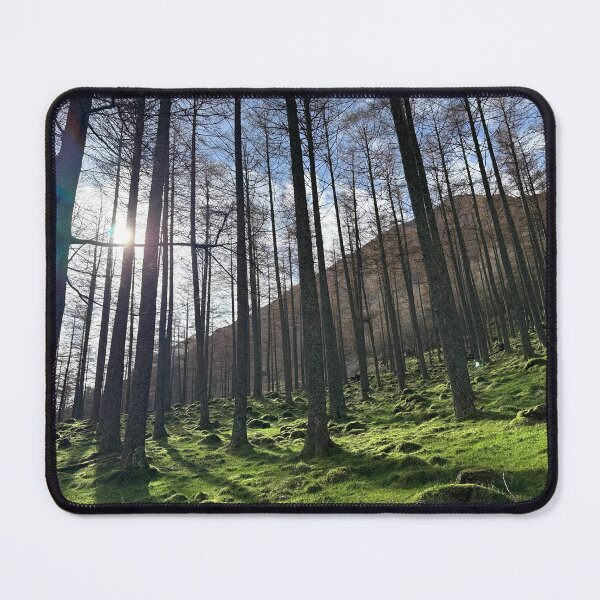 Item preview, Woodland around Buttermere designed and sold by BenHolliday6.