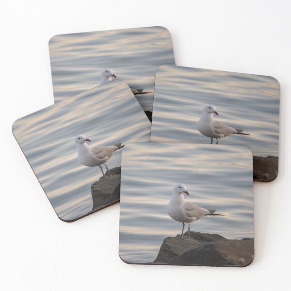 Item preview, Solitary Seagull Perched on a Rock by Water designed and sold by TCphotographyy.
