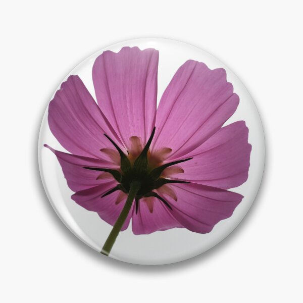 Item preview, Pink Cosmos Flower from Below – Elegant Botanical Nature Photography designed and sold by Siam Soul Studio.