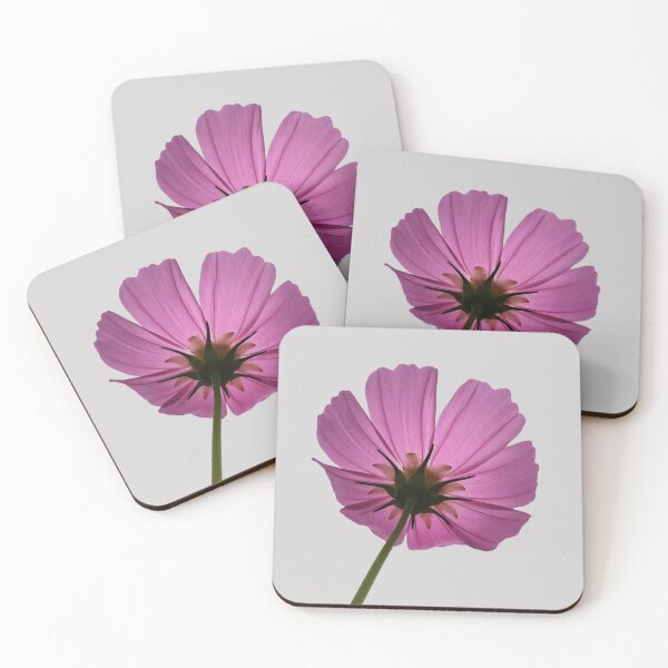 Item preview, Pink Cosmos Flower from Below – Elegant Botanical Nature Photography designed and sold by Siam Soul Studio.